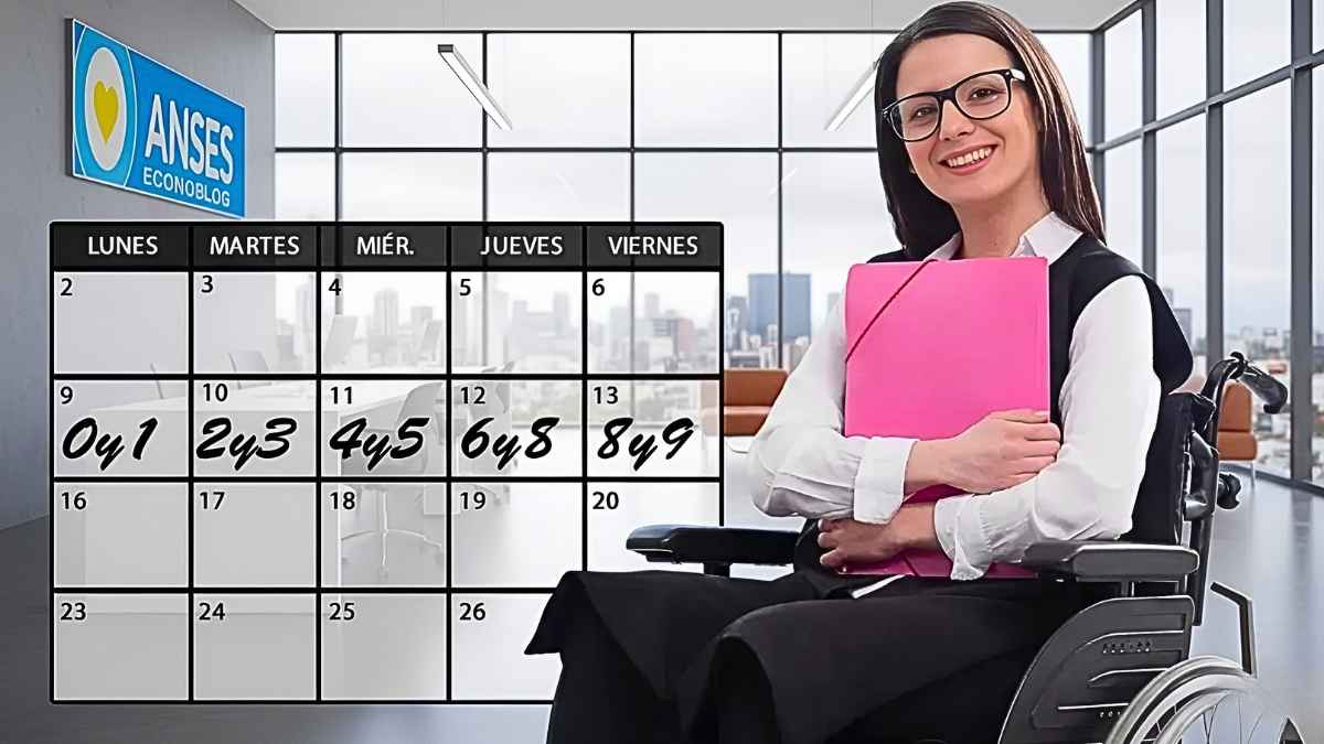 ANSES Febrero 2026: Cronograma de Pago de Pensiones No Contributivas